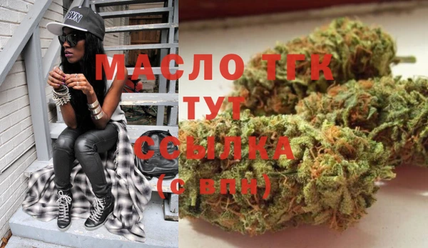 гашик Вязьма