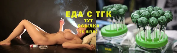 гашик Вязьма