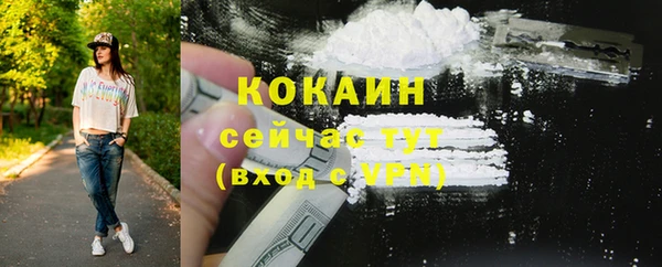 кокс Вяземский