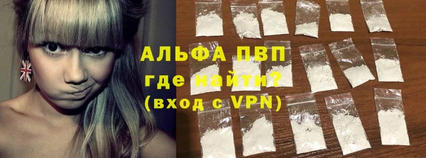 гашик Вязьма