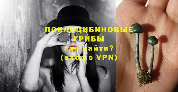 кокс Вяземский