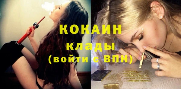 гашик Вязьма