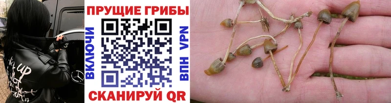 Галлюциногенные грибы ЛСД  Купить  Южно-Сахалинск 